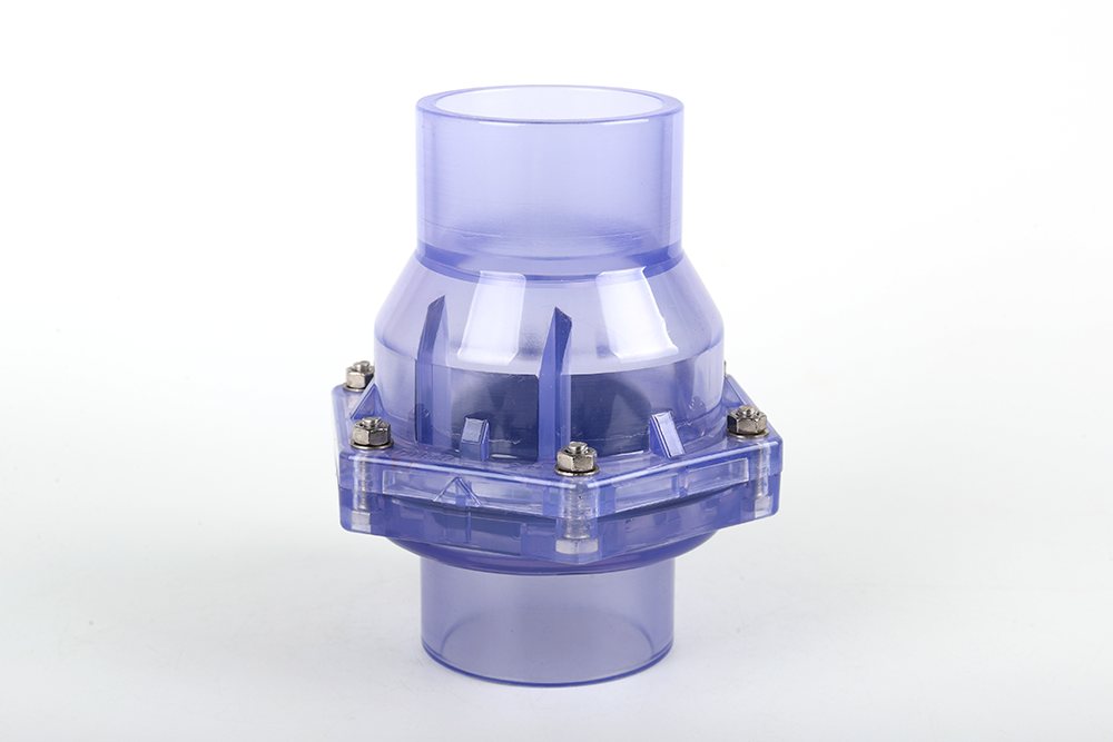 双阳透明翻板式止回阀